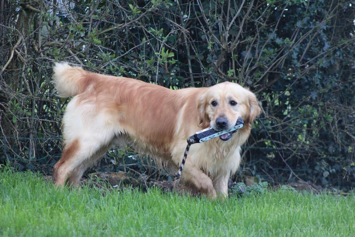 valentino De La Petite Sulka